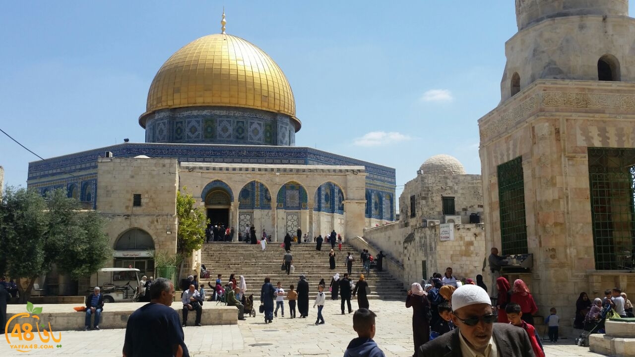 a7bab al aqsaa (4).jpg